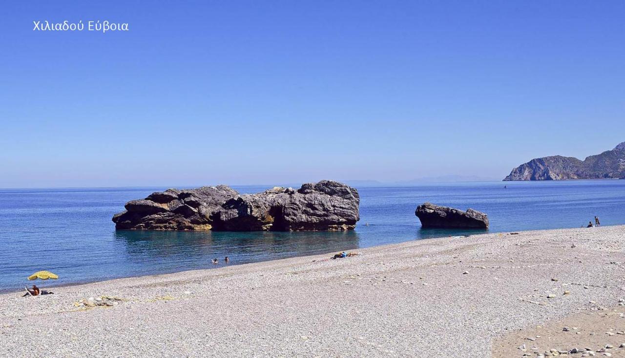 Fabulous Central Apartment Close To The Sea! Chalkís Zewnętrze zdjęcie